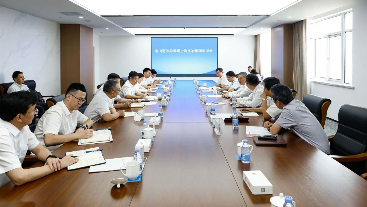 宝山区委书记李晨昊一行调研上海球盟会